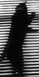 [Cat in Blinds Picture]