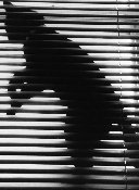 [Another Cat in Blinds Picture]